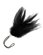 Plumas