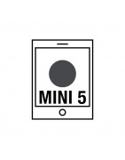 Ipad Mini 5